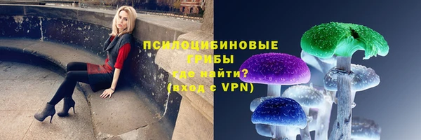 хмурый Балабаново