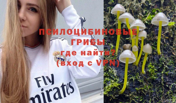 мдпв Балахна
