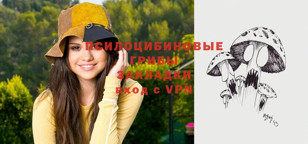 мдпв Балахна