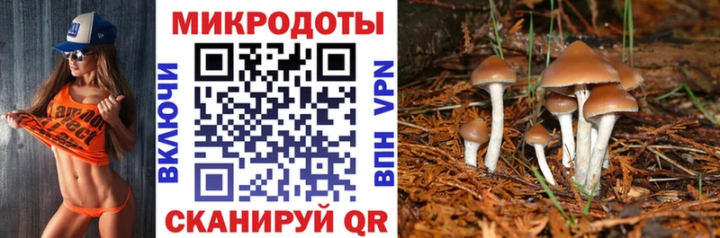 Псилоцибиновые грибы Psilocybine cubensis  Ногинск 